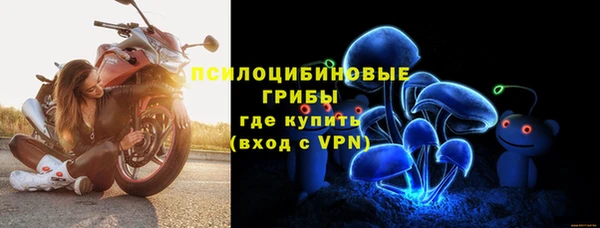 спайс Белокуриха