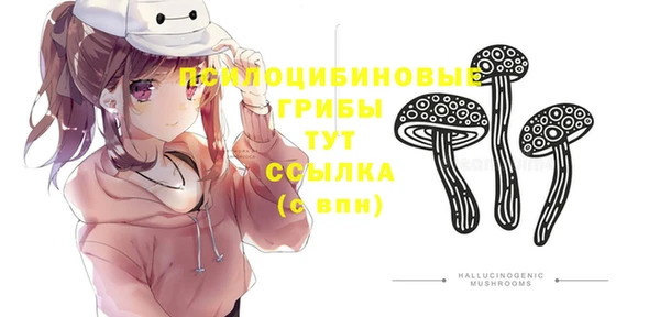 apvp Беломорск