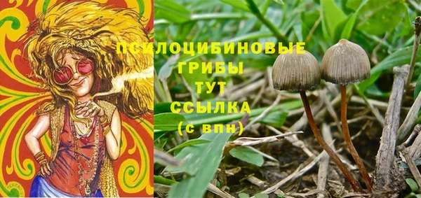 бошки Белоозёрский