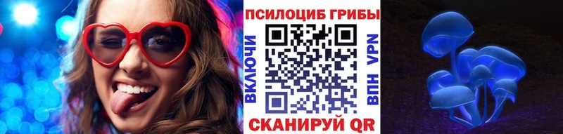 Псилоцибиновые грибы мицелий  МЕГА   Власиха  наркота 